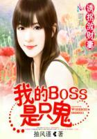 诱拐敛财妻:我的BOSS是只鬼