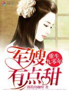 重生九零年:军嫂,有点甜