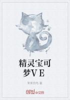 精灵宝可梦VE
