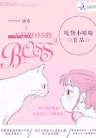 快穿:不是BOSS的BOOS