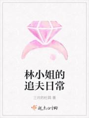 林小姐的追夫日常