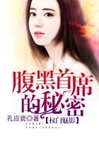 权门魅影,腹黑首席的秘密