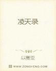 凌天录