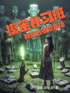 摸金补习班,我在古墓做直播