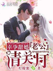 幸孕甜婚:老公,请关灯!