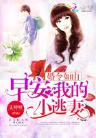 婚令如山:早安,我的小逃妻