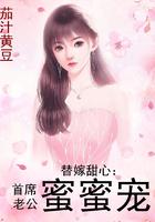 替嫁甜心：首席老公蜜蜜宠