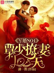 军婚NO1:覃少撩妻108天
