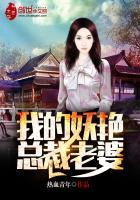 我的妖艳总裁老婆