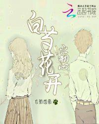 白芍花开之初心