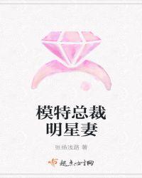 模特总裁明星妻