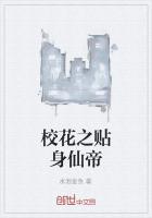 校花之贴身仙帝