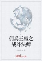 佣兵王座之战斗法师