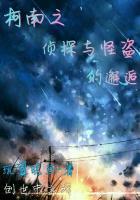 柯南之侦探与怪盗的邂逅