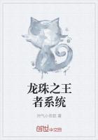 龙珠之王者系统