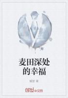 麦田深处的幸福