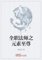 全职法师之元素至尊