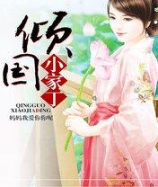 倾国小家丁