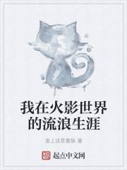 我在火影世界的流浪生涯