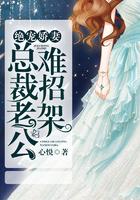 绝宠娇妻:总裁老公难招架